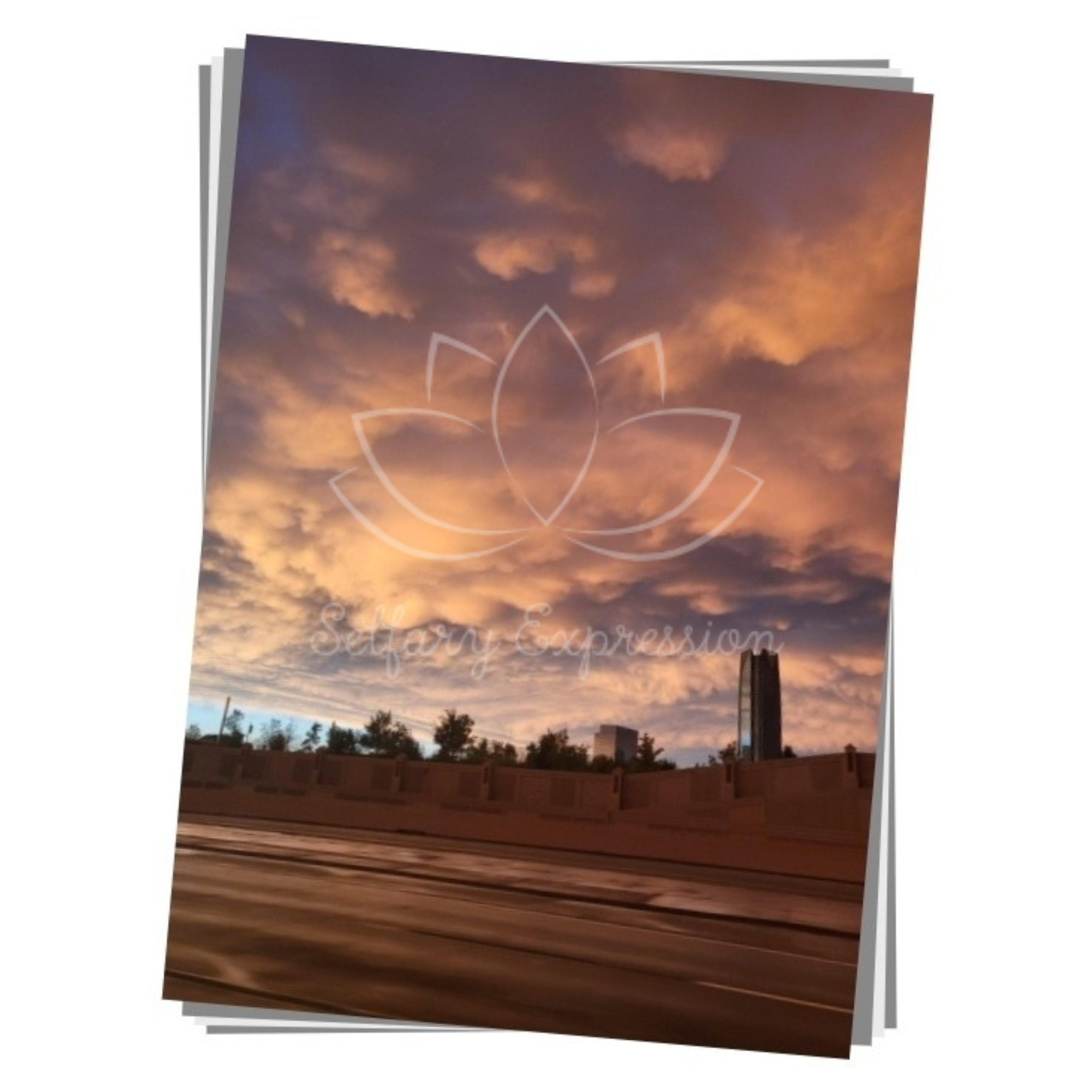 Original Photography - "On the Road Again"