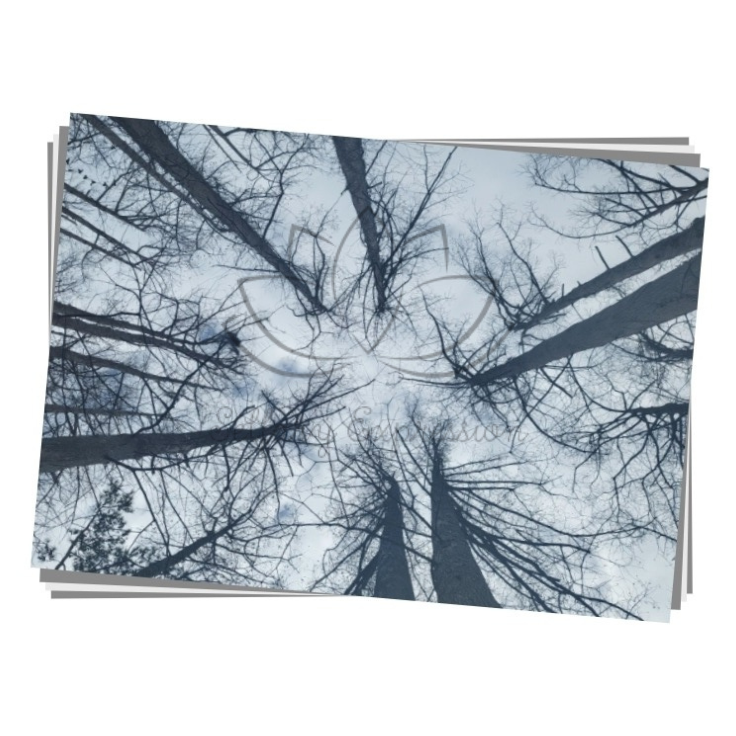 Original Photography - "Someday, somedays, I remembered this on a Sunday"