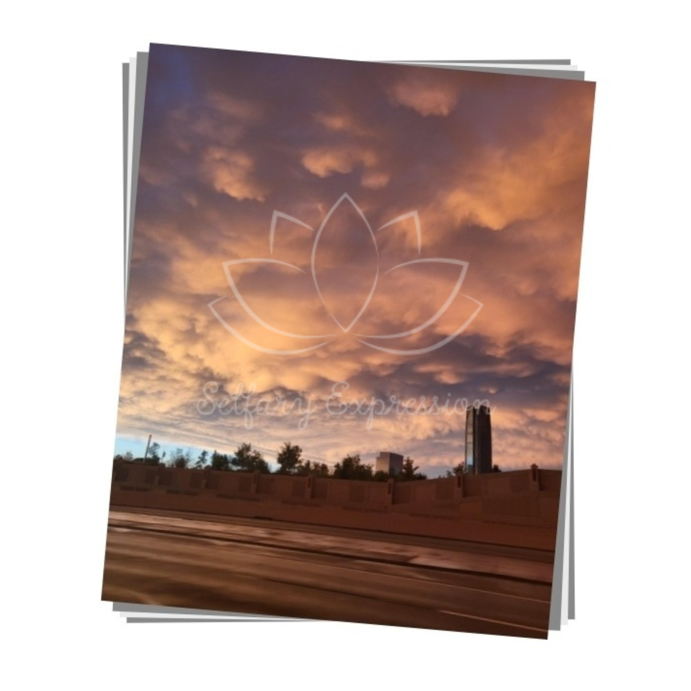 Original Photography - "On the Road Again"